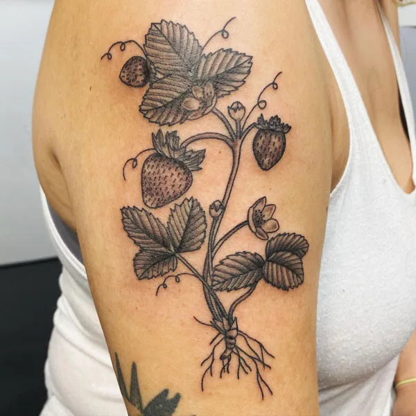 Strawberry Plant Tattoo