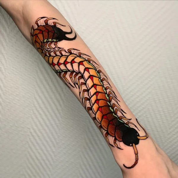 Centipede Tattoo 1