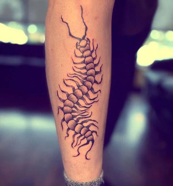 Centipede Tattoo 105