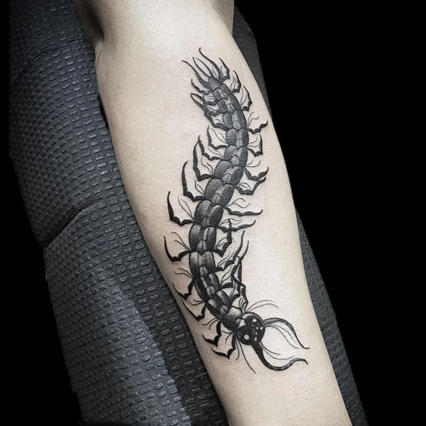 Centipede Tattoo 108