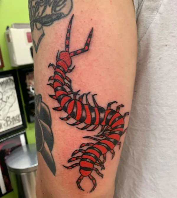 Centipede Tattoo 112