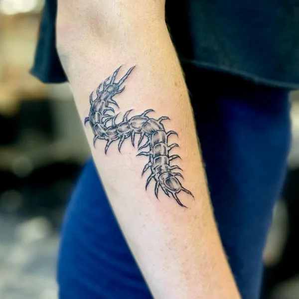 Centipede Tattoo 16