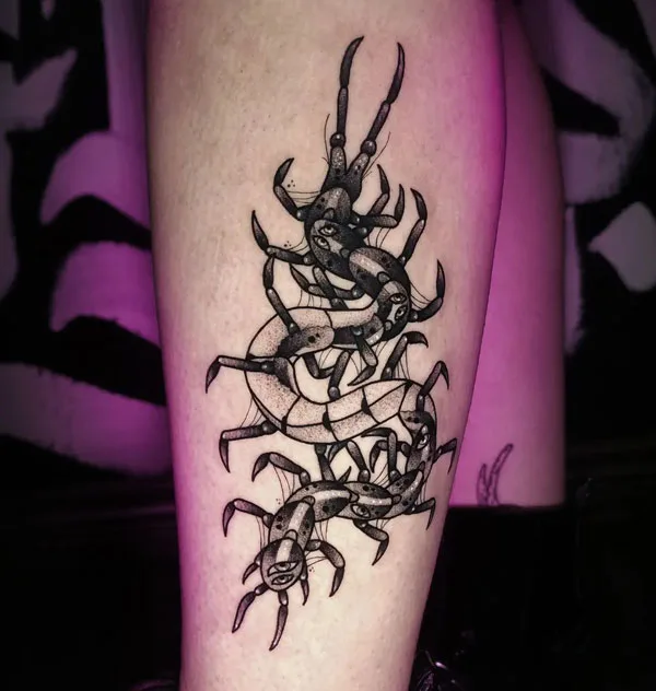 Centipede Tattoo 22