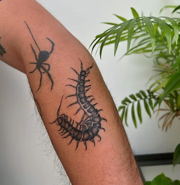 Centipede Tattoo 28