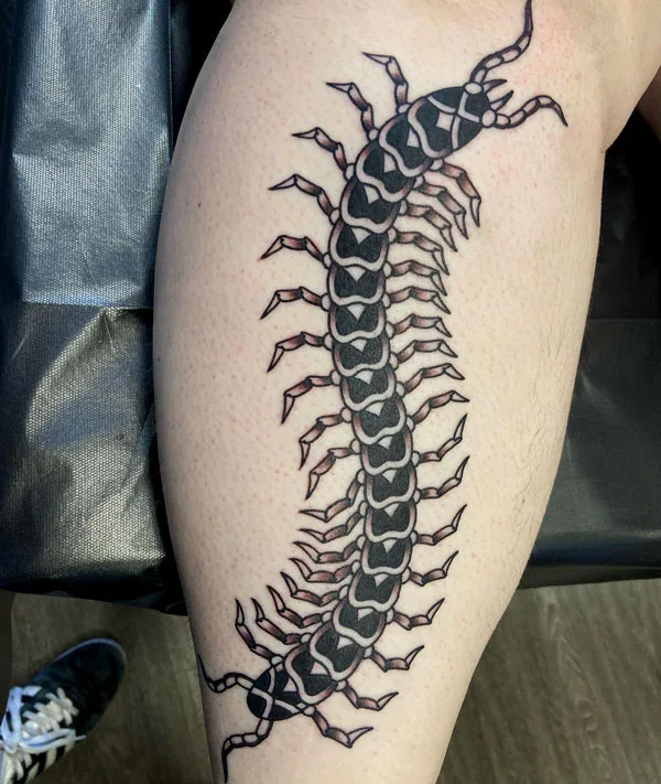 Centipede Tattoo 30