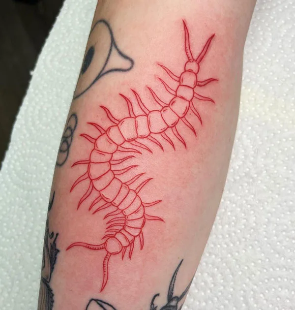 Centipede Tattoo 31