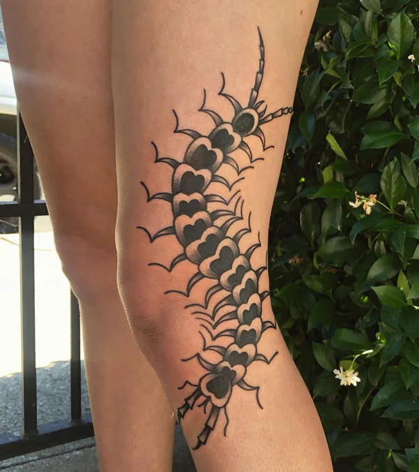 Centipede Tattoo 33