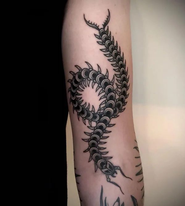 Centipede Tattoo 38