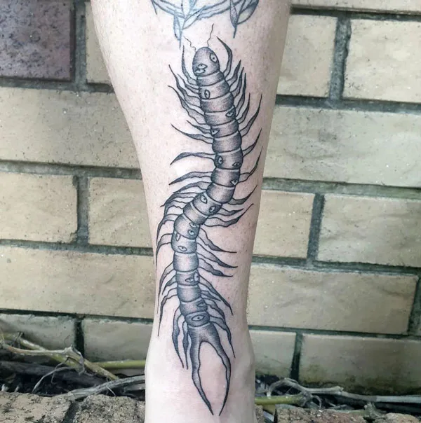 Centipede Tattoo 63