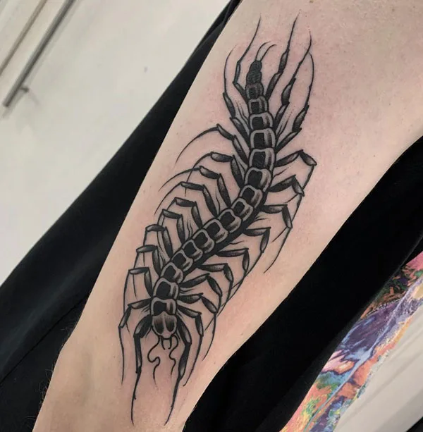 Centipede Tattoo 67