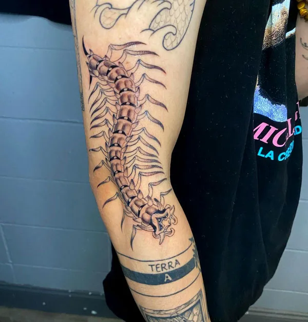 Centipede Tattoo 69