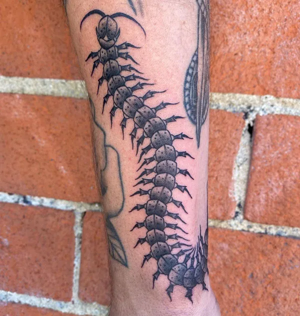 Centipede Tattoo 70