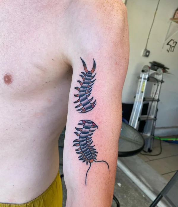 Centipede Tattoo 71