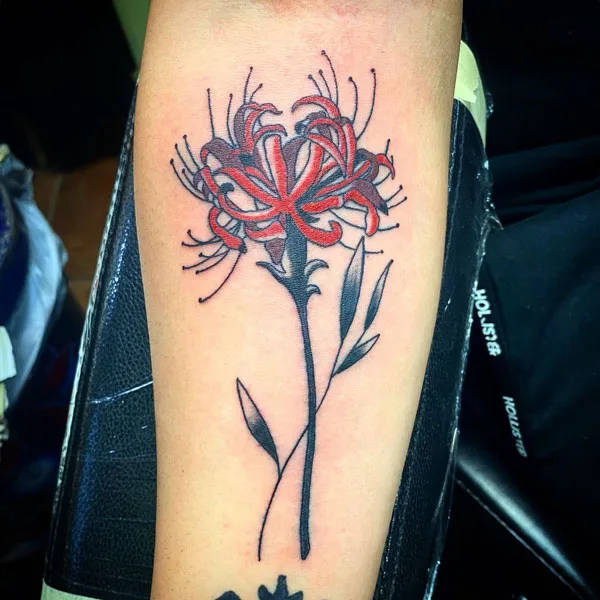 Spider Lily Tattoo 116