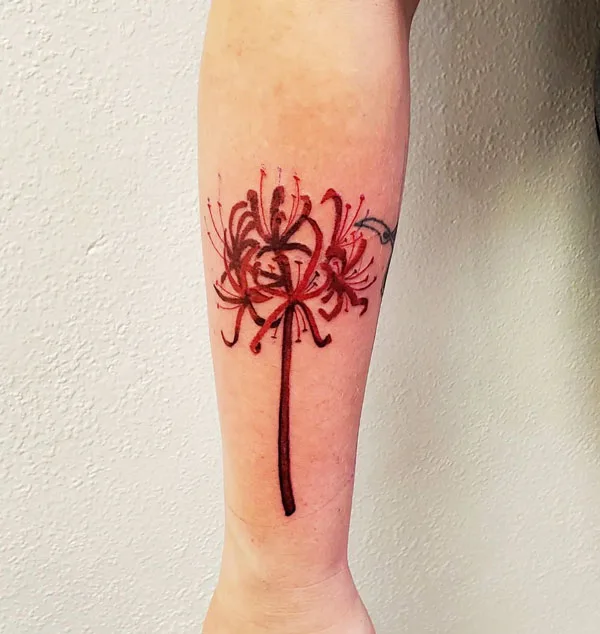 Spider Lily Tattoo 20