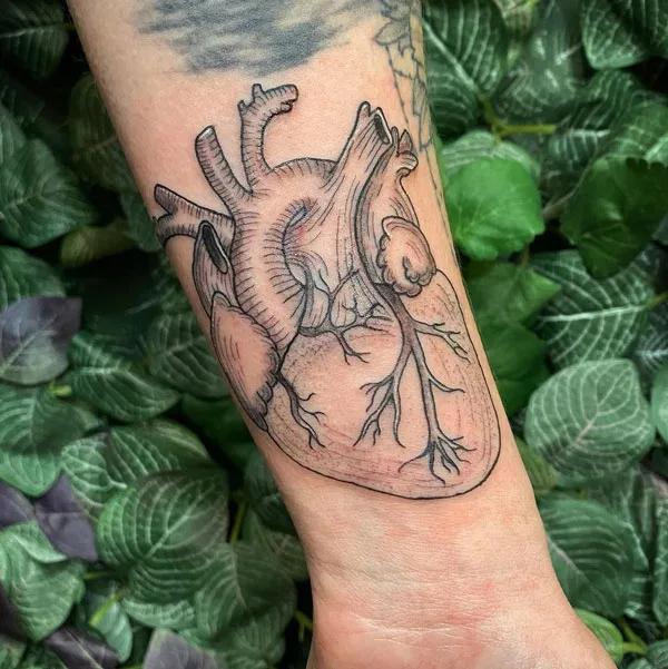 Anatomical heart tattoo 4