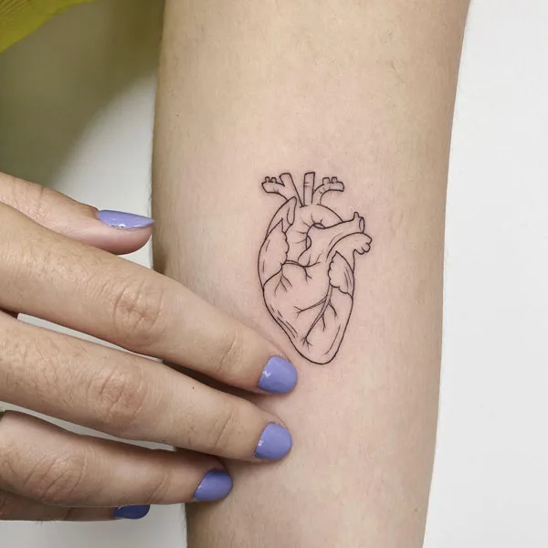 Anatomical heart tattoo 72