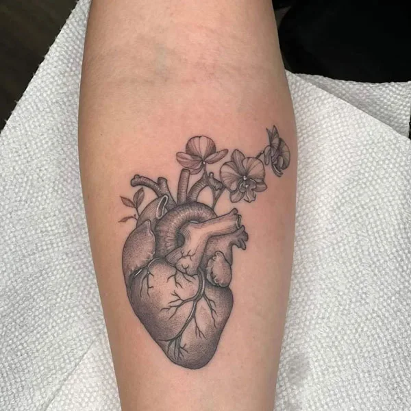 Anatomical heart tattoo 99