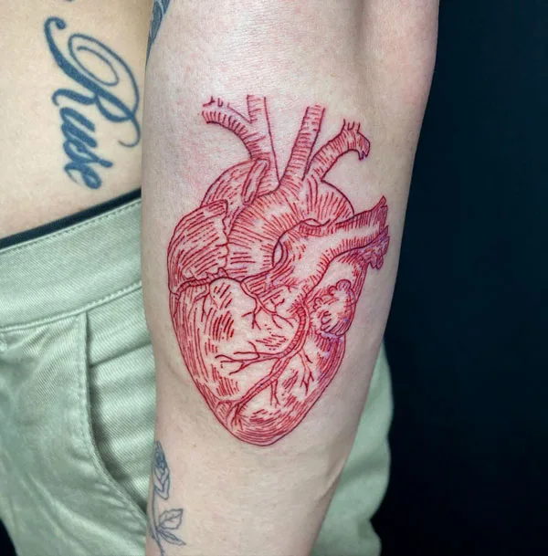 Red anatomical heart tattoo