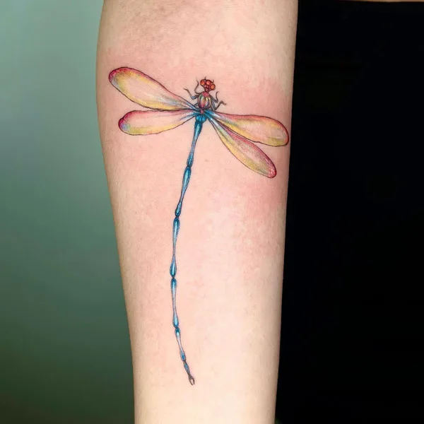 Chinese dragonfly tattoo
