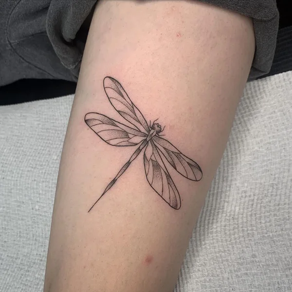 Dragonfly tattoo 47
