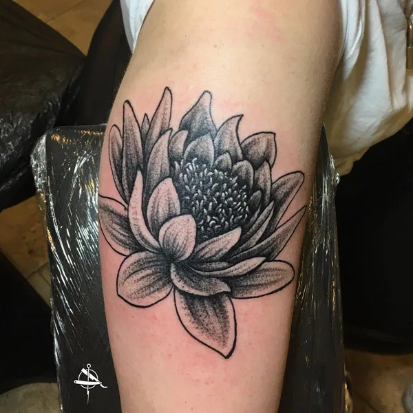 Water lily tattoo 22