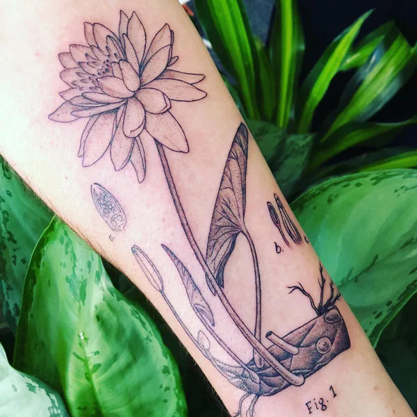 Water lily tattoo 75