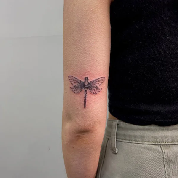 Dragonfly tattoo 104