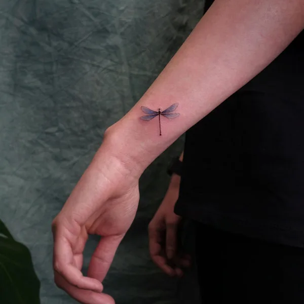 Dragonfly tattoo 116