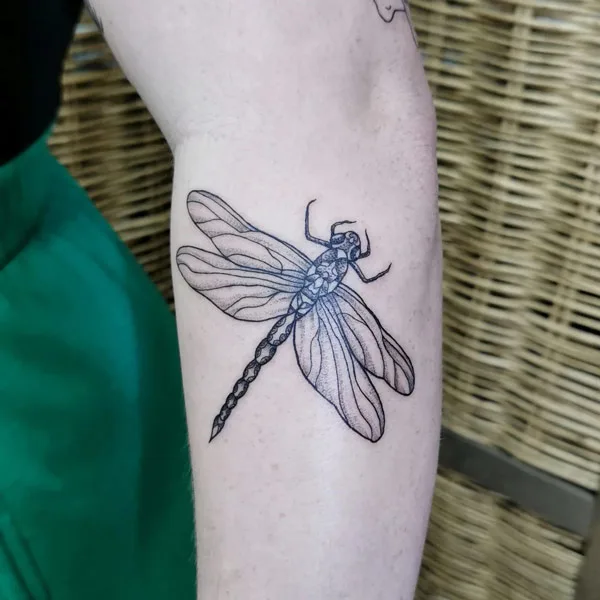 Dragonfly tattoo 118