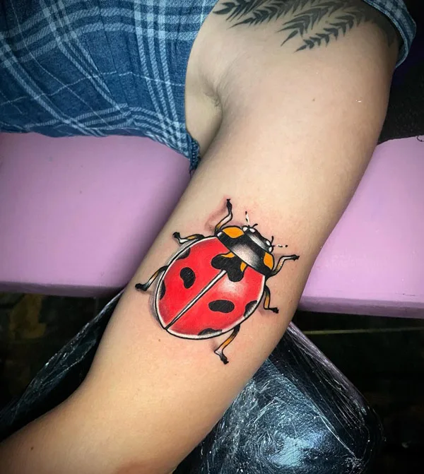 Realistic Ladybug Tattoo 1