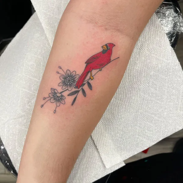 Simple Cardinal Tattoo