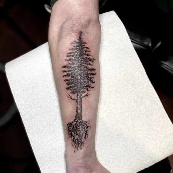 Tree Forearm Tattoo