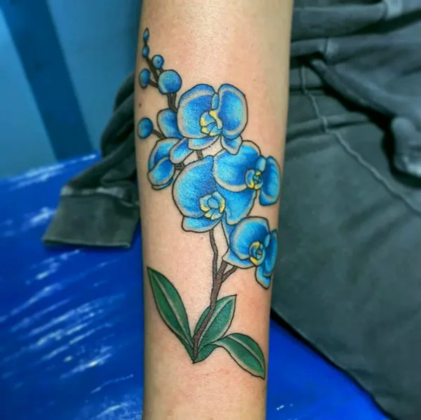 Blue Orchid Tattoo 2