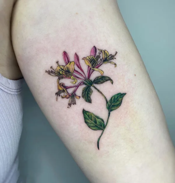 June Birth Flower Honeysuckle Tattoo