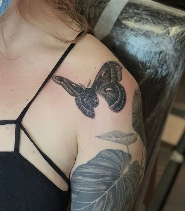 Atlas Moth Tattoo 2
