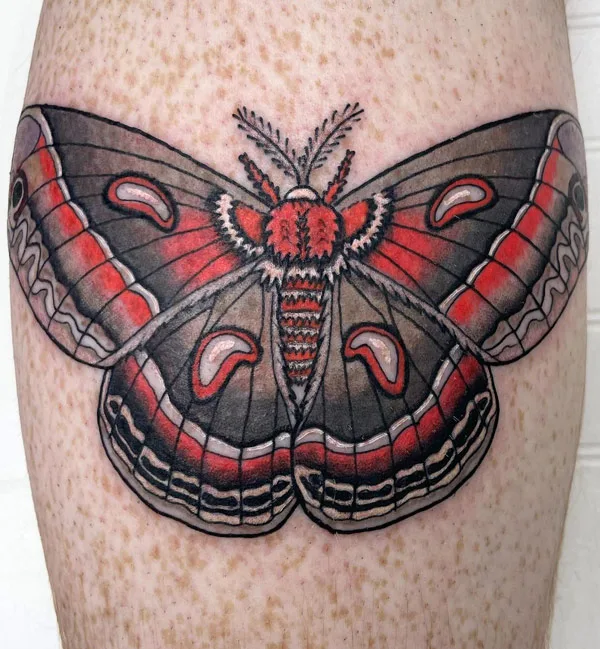 Realistic Moth Tattoo