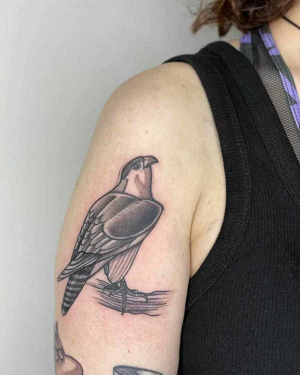Simple Hawk Tattoo